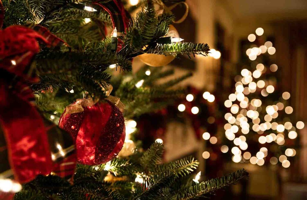 Decorated Christmas Tree